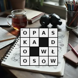 Hasło krzyżówkowe ozdoba do włosów - opaska do włosów – rozwiązanie, synonimy, podpowiedzi i definicje krzyżówkowe